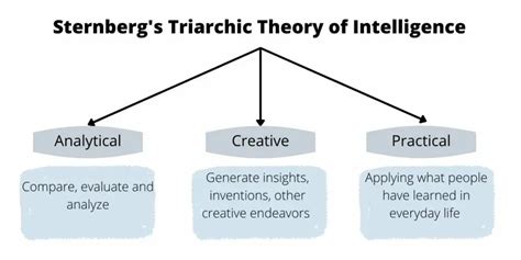 智力三元論口訣|智力三元論（Triarchic Theory of Intelligence）